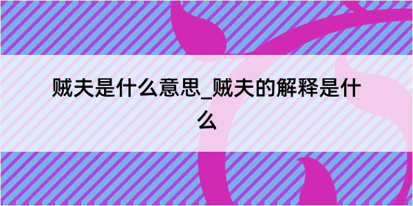 贼夫是什么意思_贼夫的解释是什么