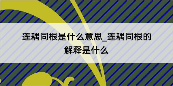 莲耦同根是什么意思_莲耦同根的解释是什么