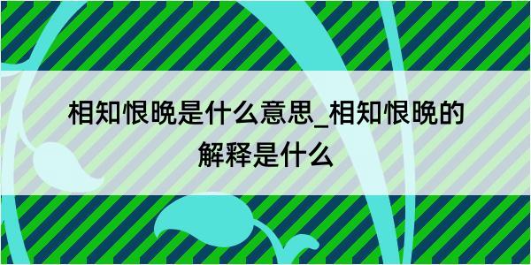 相知恨晩是什么意思_相知恨晩的解释是什么