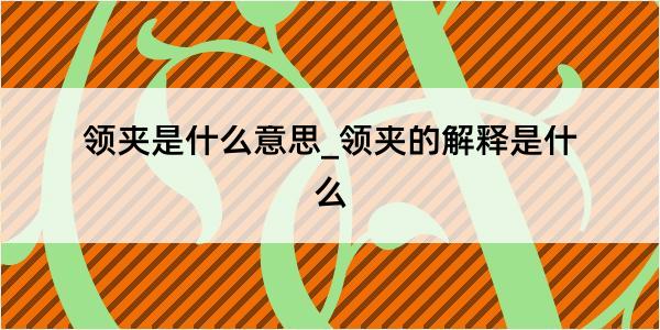 领夹是什么意思_领夹的解释是什么