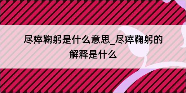 尽瘁鞠躬是什么意思_尽瘁鞠躬的解释是什么