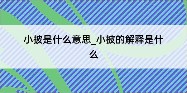 小披是什么意思_小披的解释是什么