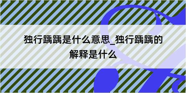 独行踽踽是什么意思_独行踽踽的解释是什么