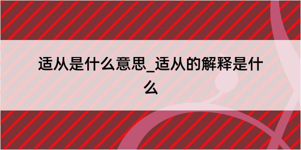 适从是什么意思_适从的解释是什么