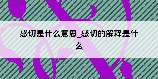 感切是什么意思_感切的解释是什么