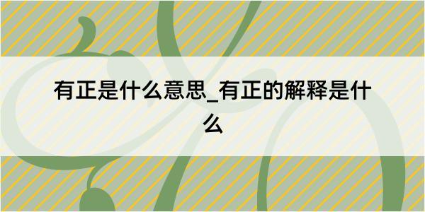 有正是什么意思_有正的解释是什么