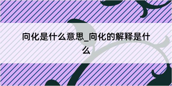 向化是什么意思_向化的解释是什么