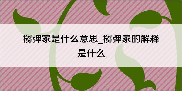 搊弹家是什么意思_搊弹家的解释是什么