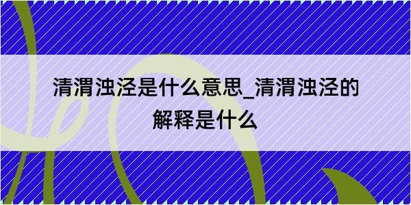 清渭浊泾是什么意思_清渭浊泾的解释是什么