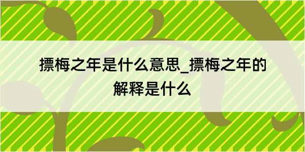 摽梅之年是什么意思_摽梅之年的解释是什么