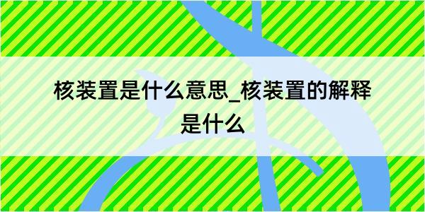 核装置是什么意思_核装置的解释是什么