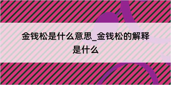 金钱松是什么意思_金钱松的解释是什么