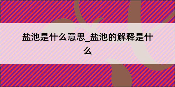 盐池是什么意思_盐池的解释是什么