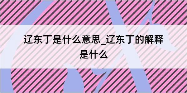 辽东丁是什么意思_辽东丁的解释是什么