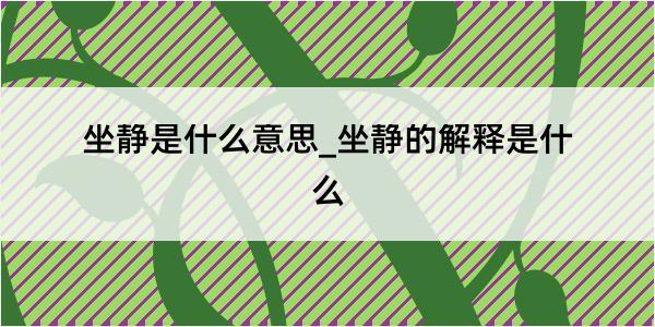 坐静是什么意思_坐静的解释是什么