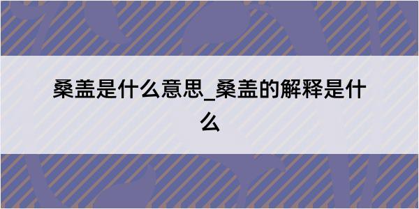 桑盖是什么意思_桑盖的解释是什么