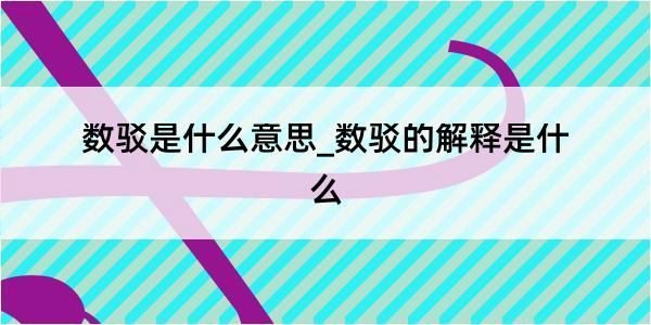 数驳是什么意思_数驳的解释是什么