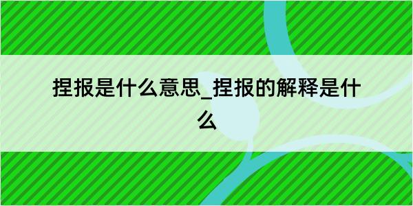 捏报是什么意思_捏报的解释是什么