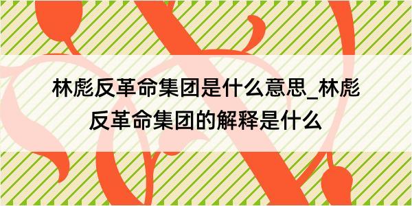 林彪反革命集团是什么意思_林彪反革命集团的解释是什么