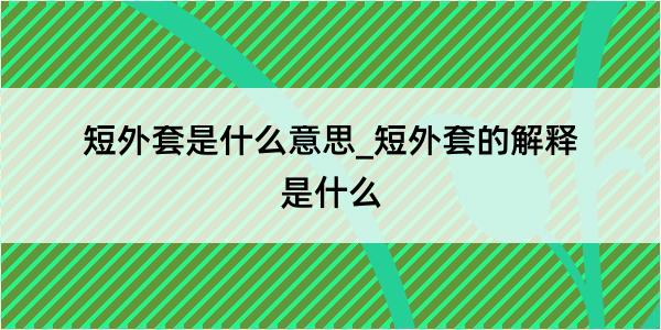 短外套是什么意思_短外套的解释是什么