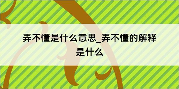 弄不懂是什么意思_弄不懂的解释是什么