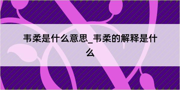 韦柔是什么意思_韦柔的解释是什么