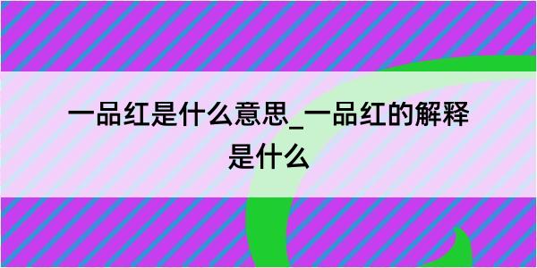 一品红是什么意思_一品红的解释是什么