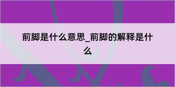 前脚是什么意思_前脚的解释是什么