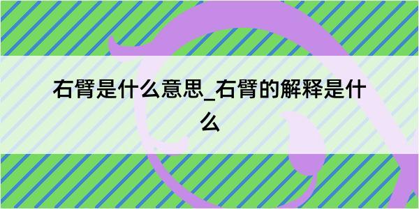 右臂是什么意思_右臂的解释是什么