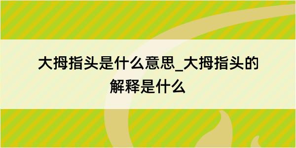 大拇指头是什么意思_大拇指头的解释是什么