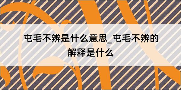 屯毛不辨是什么意思_屯毛不辨的解释是什么