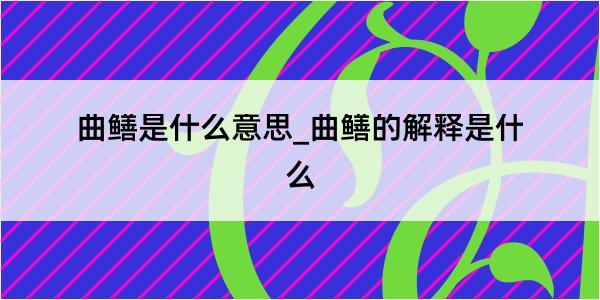 曲鳝是什么意思_曲鳝的解释是什么