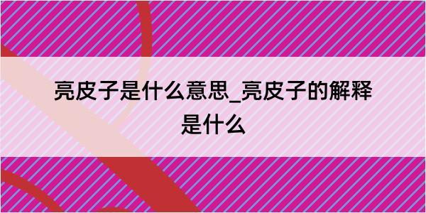 亮皮子是什么意思_亮皮子的解释是什么