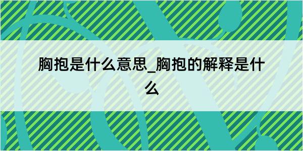 胸抱是什么意思_胸抱的解释是什么