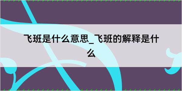 飞班是什么意思_飞班的解释是什么