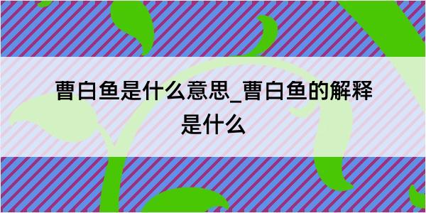 曹白鱼是什么意思_曹白鱼的解释是什么