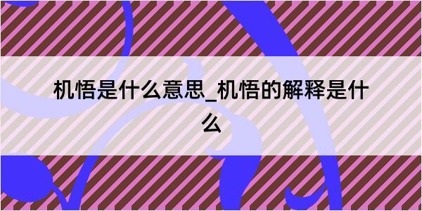 机悟是什么意思_机悟的解释是什么