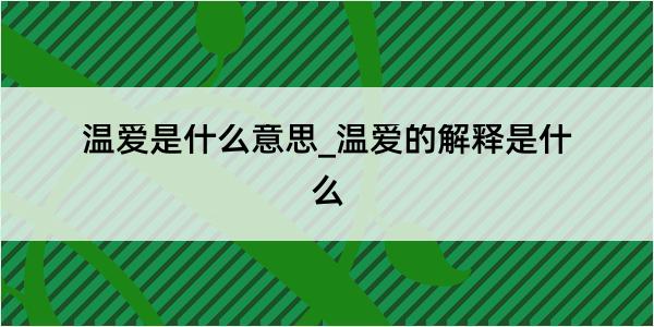 温爱是什么意思_温爱的解释是什么