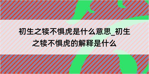 初生之犊不惧虎是什么意思_初生之犊不惧虎的解释是什么