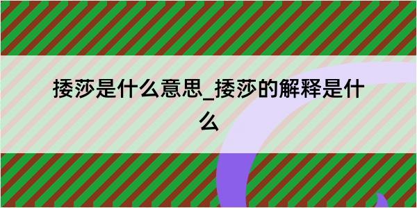 捼莎是什么意思_捼莎的解释是什么