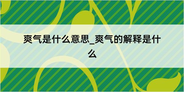 爽气是什么意思_爽气的解释是什么