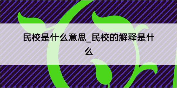 民校是什么意思_民校的解释是什么