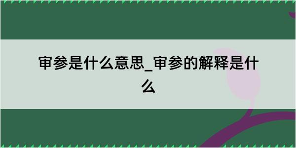 审参是什么意思_审参的解释是什么