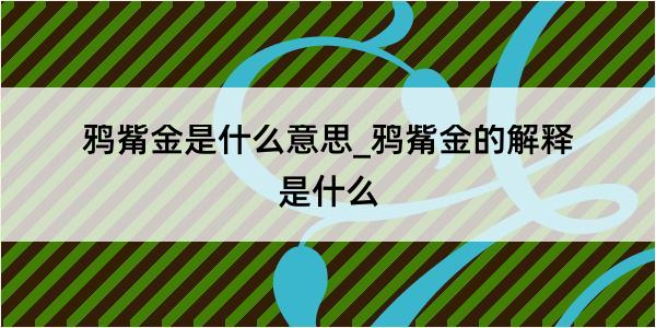 鸦觜金是什么意思_鸦觜金的解释是什么