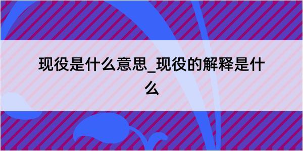 现役是什么意思_现役的解释是什么