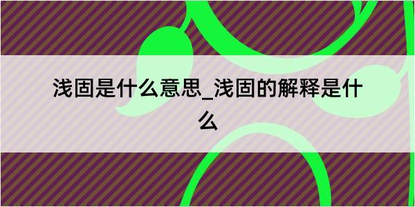 浅固是什么意思_浅固的解释是什么