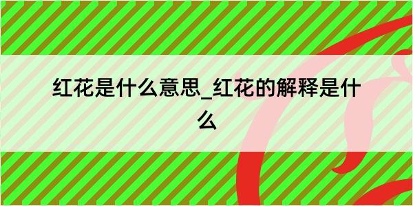 红花是什么意思_红花的解释是什么