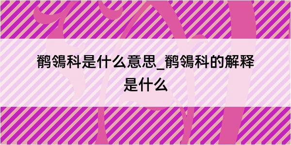 鹡鴒科是什么意思_鹡鴒科的解释是什么