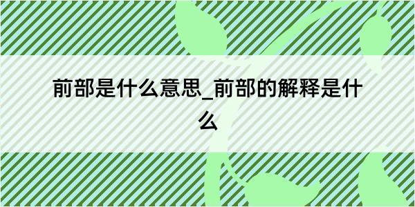 前部是什么意思_前部的解释是什么