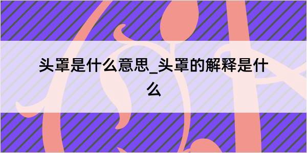 头罩是什么意思_头罩的解释是什么